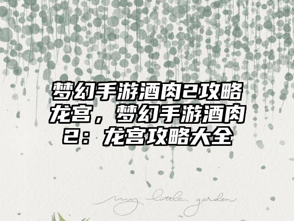 梦幻手游酒肉2攻略龙宫，梦幻手游酒肉2：龙宫攻略大全