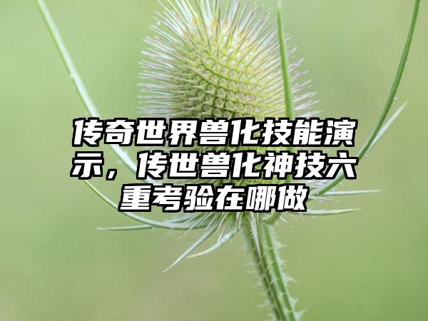 传奇世界兽化技能演示，传世兽化神技六重考验在哪做