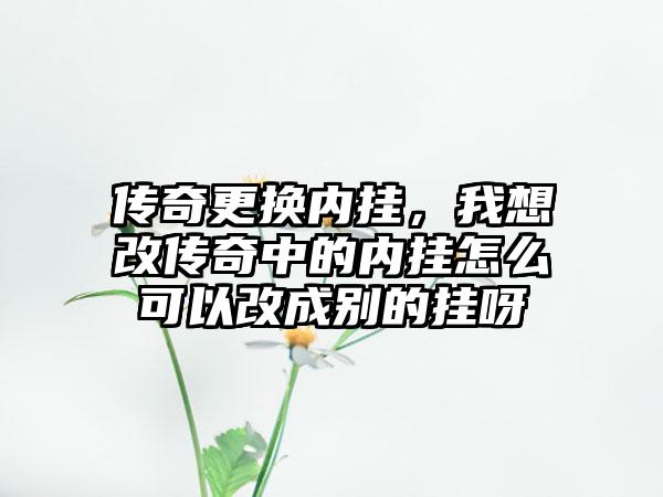 传奇更换内挂，我想改传奇中的内挂怎么可以改成别的挂呀
