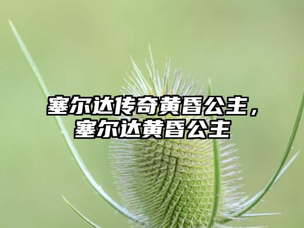塞尔达传奇黄昏公主，塞尔达黄昏公主