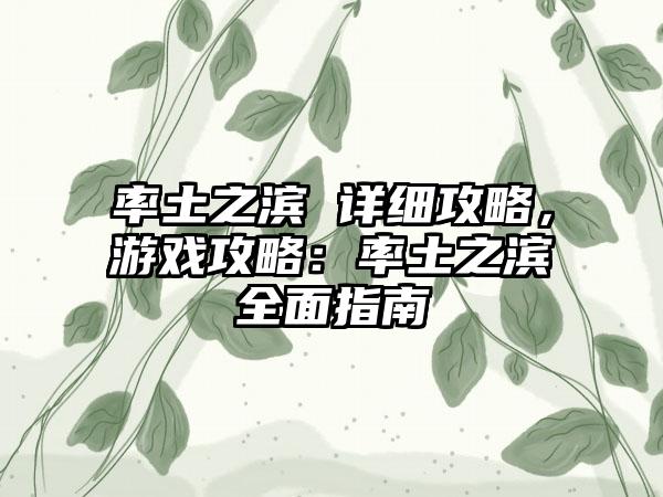 率土之滨 详细攻略，游戏攻略：率土之滨全面指南