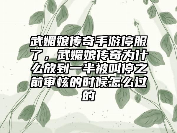 武媚娘传奇手游停服了，武媚娘传奇为什么放到一半被叫停之前审核的时候怎么过的