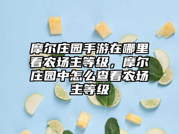 摩尔庄园手游在哪里看农场主等级，摩尔庄园中怎么查看农场主等级