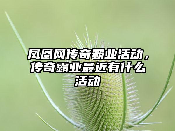 凤凰网传奇霸业活动，传奇霸业最近有什么活动