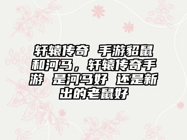 轩辕传奇 手游貂鼠和河马，轩辕传奇手游 是河马好 还是新出的老鼠好