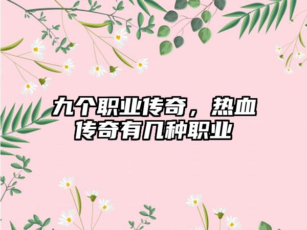 九个职业传奇，热血传奇有几种职业