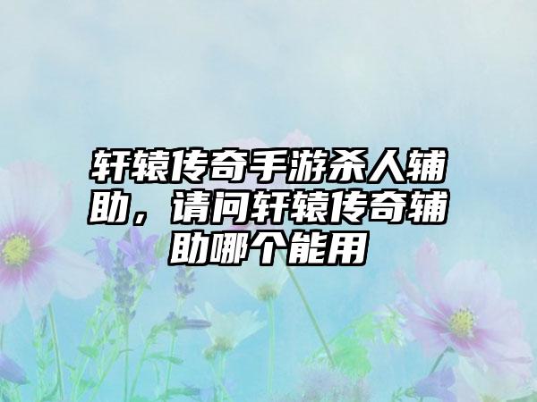 轩辕传奇手游杀人辅助，请问轩辕传奇辅助哪个能用