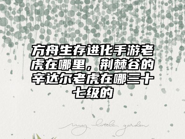 方舟生存进化手游老虎在哪里，荆棘谷的辛达尔老虎在哪三十七级的