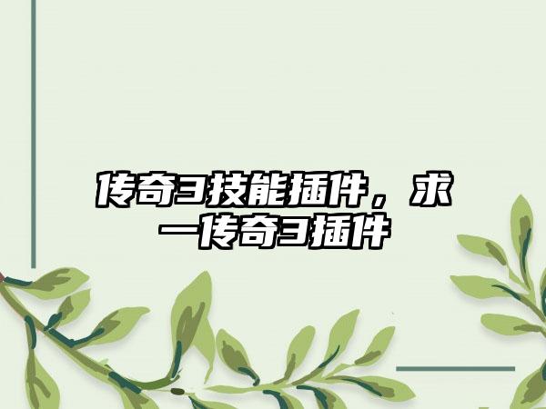 传奇3技能插件，求一传奇3插件