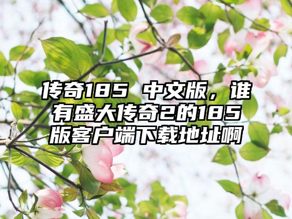 传奇185 中文版，谁有盛大传奇2的185版客户端下载地址啊