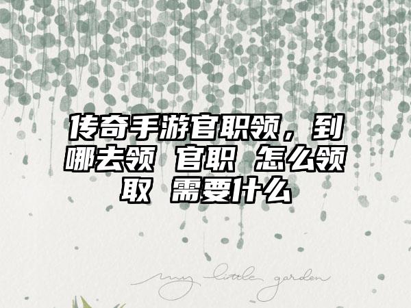 传奇手游官职领，到哪去领 官职 怎么领取 需要什么