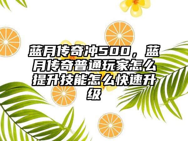 蓝月传奇冲500，蓝月传奇普通玩家怎么提升技能怎么快速升级