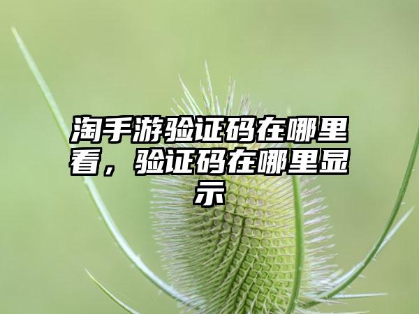淘手游验证码在哪里看，验证码在哪里显示