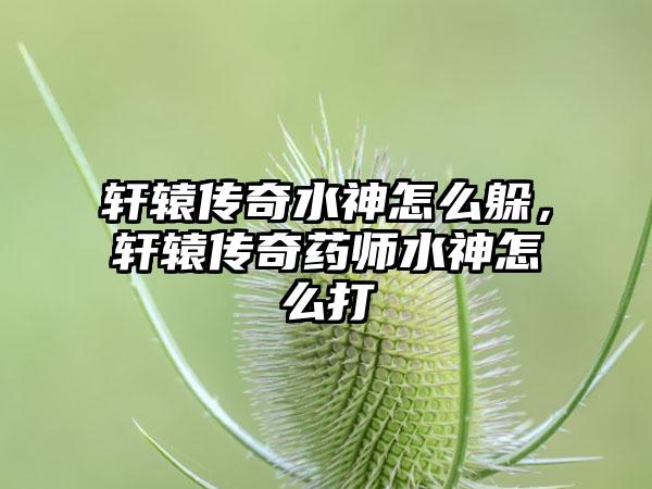 轩辕传奇水神怎么躲，轩辕传奇药师水神怎么打