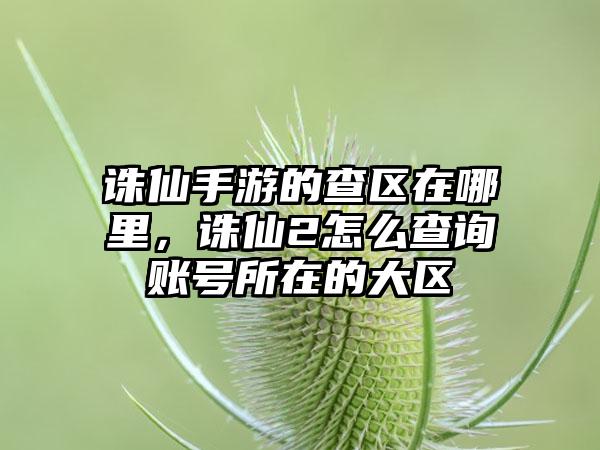 诛仙手游的查区在哪里，诛仙2怎么查询账号所在的大区