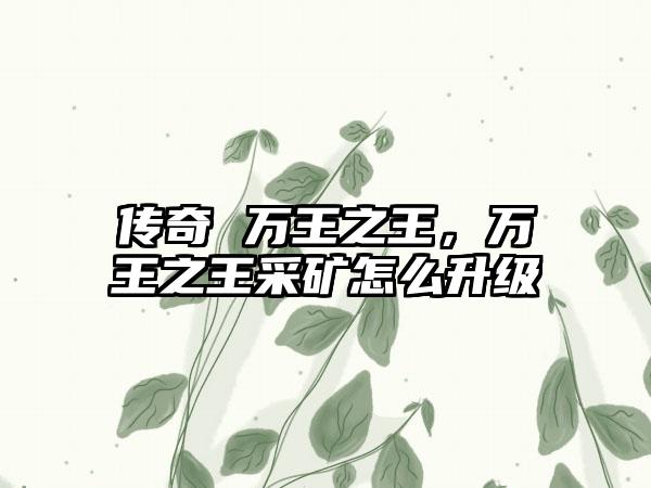传奇 万王之王，万王之王采矿怎么升级