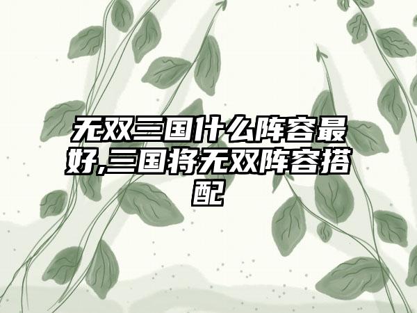 无双三国什么阵容最好,三国将无双阵容搭配
