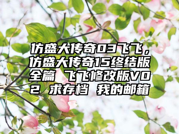 仿盛大传奇03飞飞，仿盛大传奇15终结版全篇 飞飞修改版V02 求存档 我的邮箱