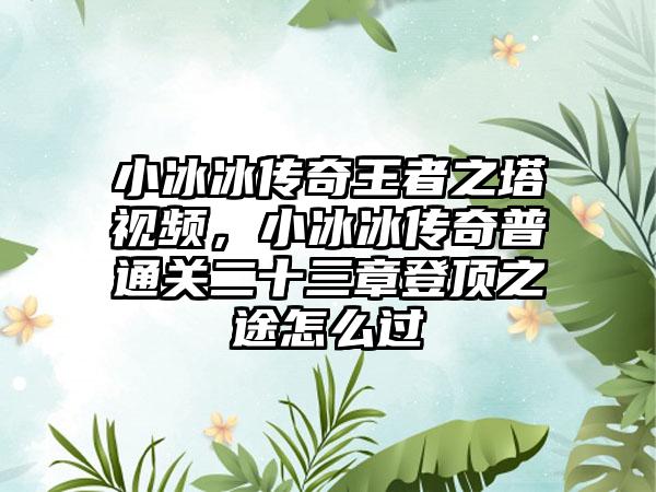 小冰冰传奇王者之塔视频，小冰冰传奇普通关二十三章登顶之途怎么过