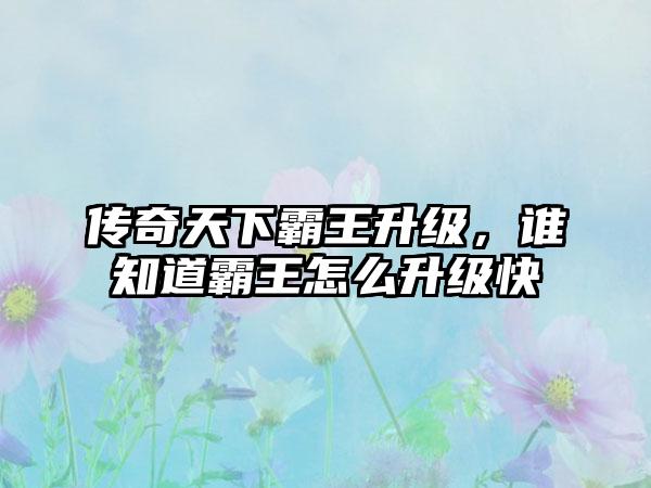 传奇天下霸王升级，谁知道霸王怎么升级快