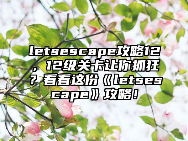 letsescape攻略12，12级关卡让你抓狂？看看这份《letsescape》攻略！