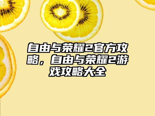 自由与荣耀2官方攻略，自由与荣耀2游戏攻略大全