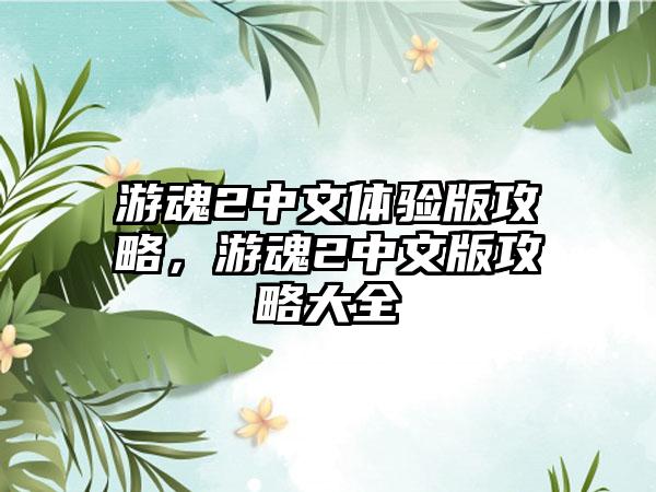 游魂2中文体验版攻略，游魂2中文版攻略大全