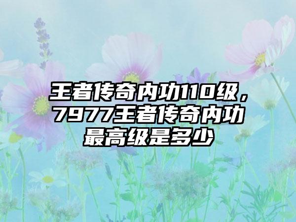 王者传奇内功110级，7977王者传奇内功最高级是多少