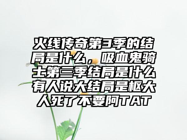 火线传奇第3季的结局是什么，吸血鬼骑士第三季结局是什么有人说大结局是枢大人死了不要阿TAT