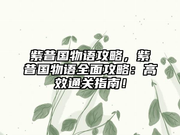 紫昔国物语攻略，紫昔国物语全面攻略：高效通关指南！