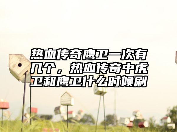 热血传奇鹰卫一次有几个，热血传奇中虎卫和鹰卫什么时候刷