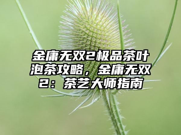 金庸无双2极品茶叶泡茶攻略，金庸无双2：茶艺大师指南