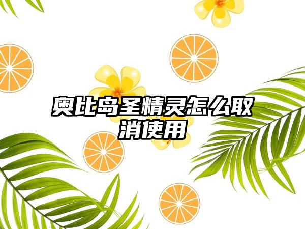 奥比岛圣精灵怎么取消使用