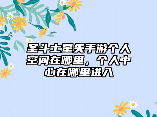 圣斗士星矢手游个人空间在哪里，个人中心在哪里进入
