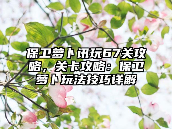 保卫萝卜讯玩67关攻略，关卡攻略：保卫萝卜玩法技巧详解