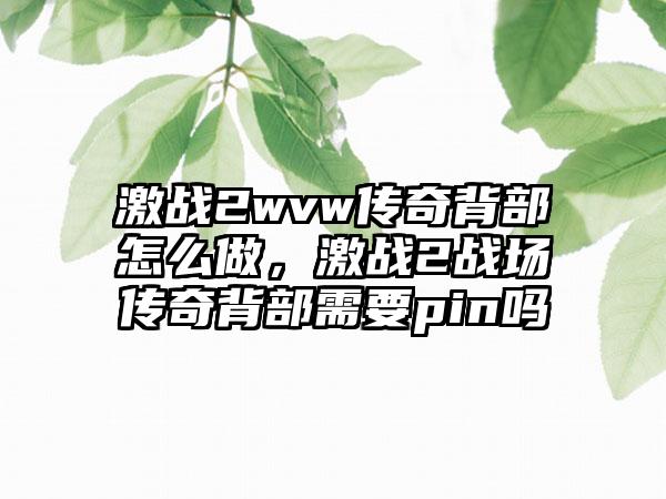 激战2wvw传奇背部怎么做，激战2战场传奇背部需要pin吗