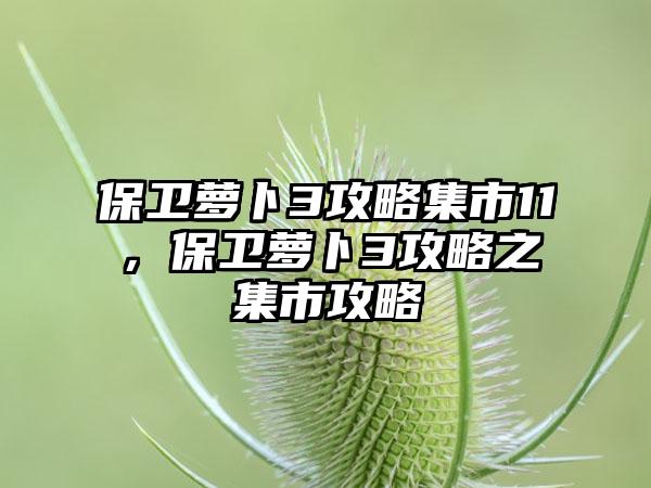 保卫萝卜3攻略集市11，保卫萝卜3攻略之集市攻略