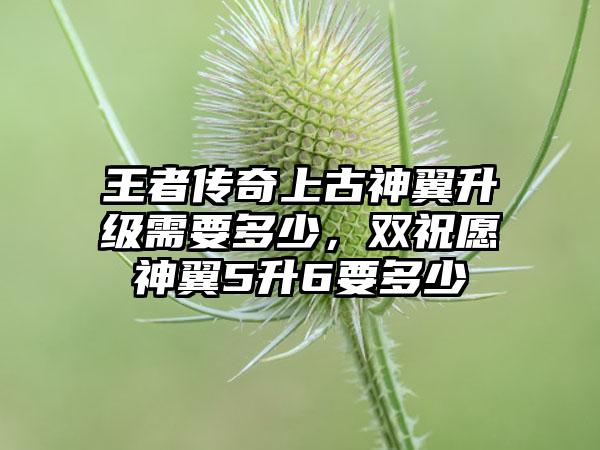 王者传奇上古神翼升级需要多少，双祝愿神翼5升6要多少