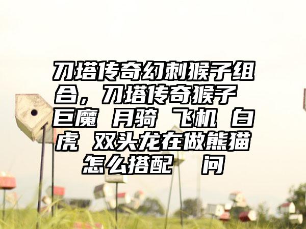 刀塔传奇幻刺猴子组合，刀塔传奇猴子 巨魔 月骑 飞机 白虎 双头龙在做熊猫怎么搭配  问