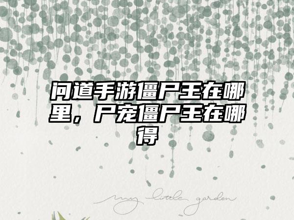 问道手游僵尸王在哪里，尸宠僵尸王在哪得