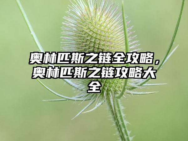 奥林匹斯之链全攻略，奥林匹斯之链攻略大全