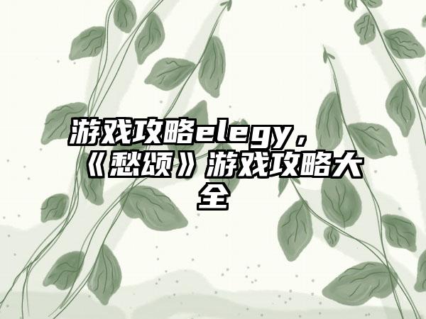 游戏攻略elegy，《愁颂》游戏攻略大全