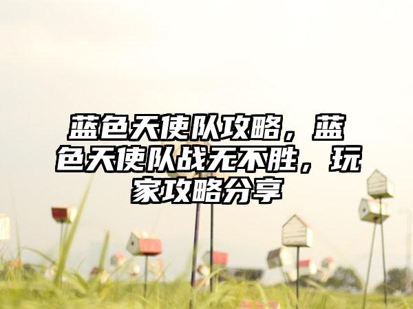蓝色天使队攻略，蓝色天使队战无不胜，玩家攻略分享