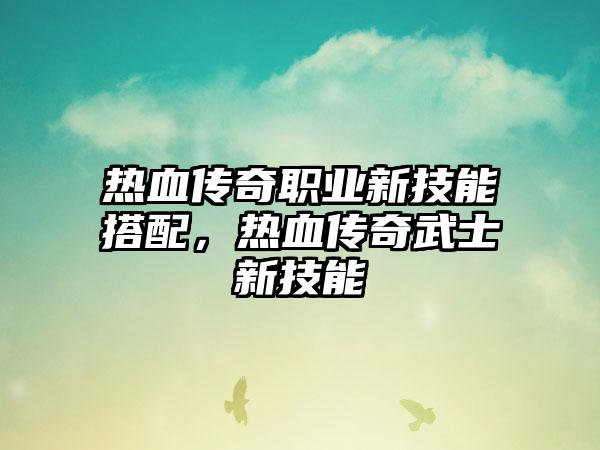 热血传奇职业新技能搭配，热血传奇武士新技能