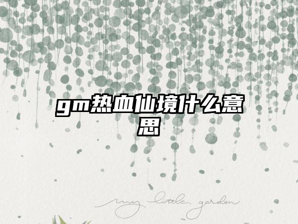 gm热血仙境什么意思