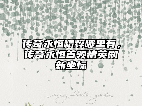 传奇永恒精粹哪里有，传奇永恒首领精英刷新坐标