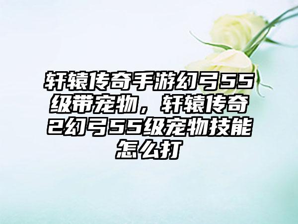 轩辕传奇手游幻弓55级带宠物，轩辕传奇2幻弓55级宠物技能怎么打