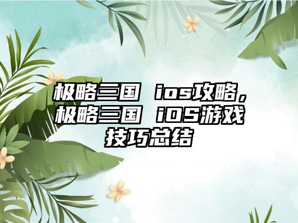 极略三国 ios攻略，极略三国 iOS游戏技巧总结