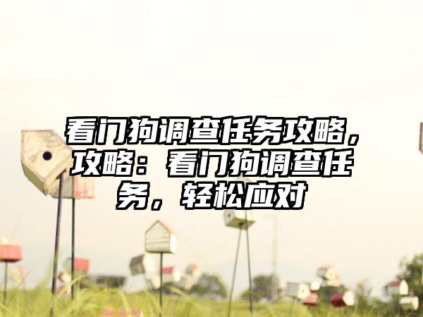 看门狗调查任务攻略，攻略：看门狗调查任务，轻松应对