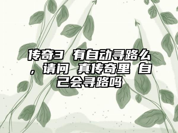 传奇3 有自动寻路么，请问 真传奇里 自己会寻路吗